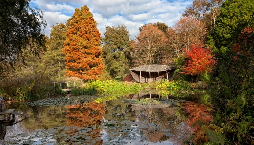 Sir Harold Hillier Gardens autumnal leaves (c) Matt Pringle